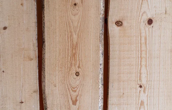 Colors, wood, knots