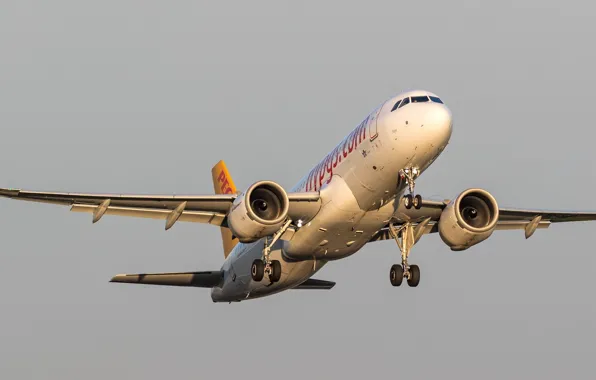 Фон, самолёт, серое небо, A320neo