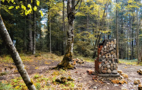 Лес, пейзаж, печка