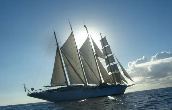Картинка море, солнце, парусник, парус, клиппер