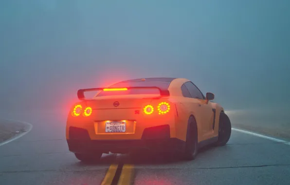 Туман, R35, Nissan GTR, стоп-сигналы