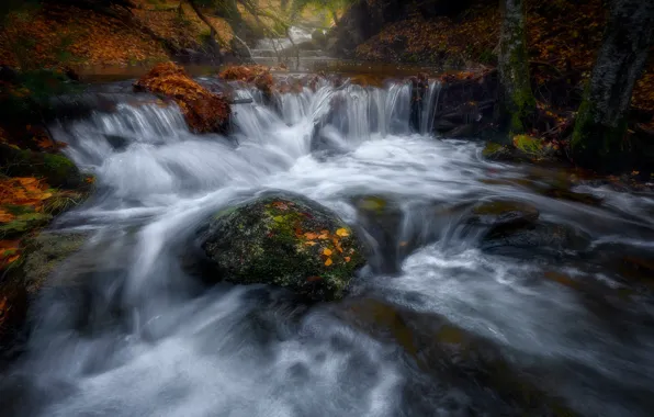 Осень, лес, природа, камни, листва, водопад, поток, осенние листья