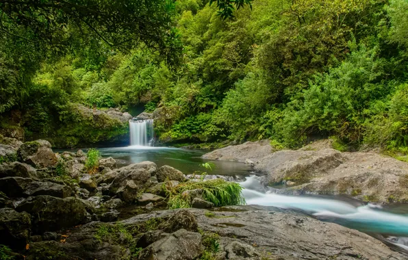 Картинка зелень, лес, деревья, ручей, камни, Франция, водопад, Reunion