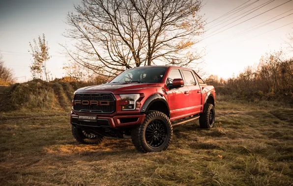 Ford, Red, Raptor, Front, Side, F-150, Geiger, Ford F-150