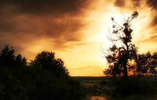 Картинка дорога, небо, солнце, закат, дерево, кусты