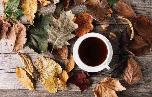 Картинка осень, листья, кофе, чашка, wood, autumn, leaves, cup