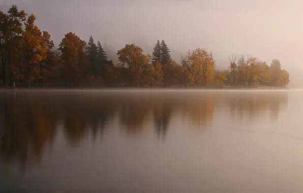Картинка осень, деревья, туман, озеро