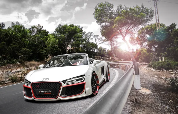 Дорога, деревья, шоссе, Spyder, Tuning, экстерьер, ауди р8, Audi R8 V10