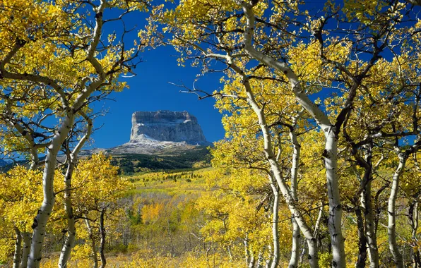Картинка осень, гора, монтана