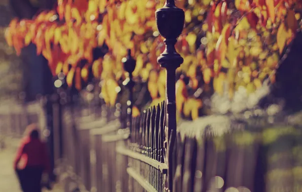 Картинка осень, листья, цвета, деревья, парк, настроение, яркие, забор