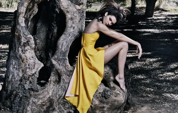 Картинка поза, дерево, модель, сидит, Kendall Jenner, желтое платье