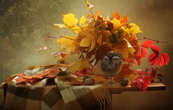 Картинка листья, ветки, ягоды, шарф, фрукты, натюрморт, сливы, столик