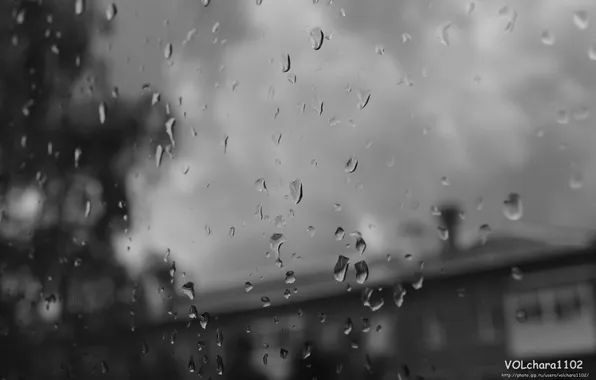 Капли, дождь, депрессия