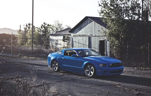 Солнце, Mustang, Ford, Синий, Колеса, Форд, Muscle, Мустанг