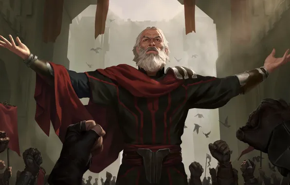 Мужчина, борода, Legends of Runeterra