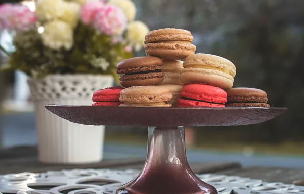 Цветы, печенье, десерт, sweet, dessert, macaron, миндальное