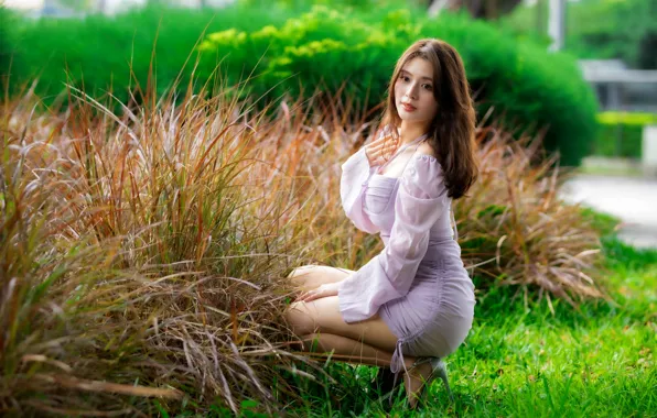Картинка трава, взгляд, поза, модель, портрет, макияж, фигура, платье