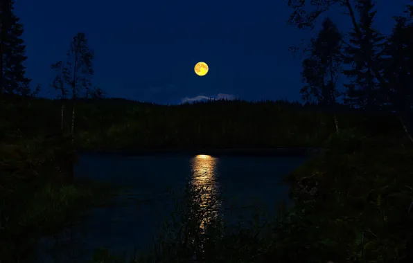 Картинка лес, ночь, река, Норвегия, полнолуние, лунная дорожка