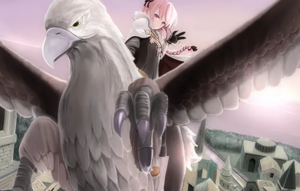 Город, птица, парень, Fate - Apocrypha, Судьба Апокриф