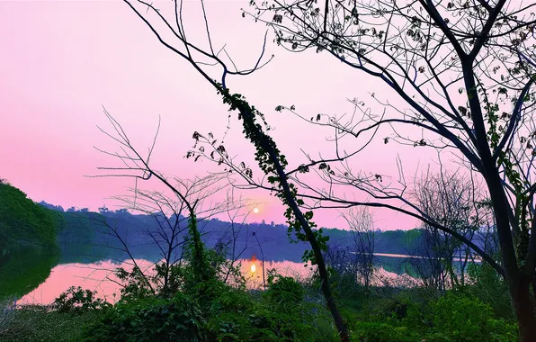 Sun, Water, Sunrise, Dawn, Morning, Lake, Trees, Reflection
