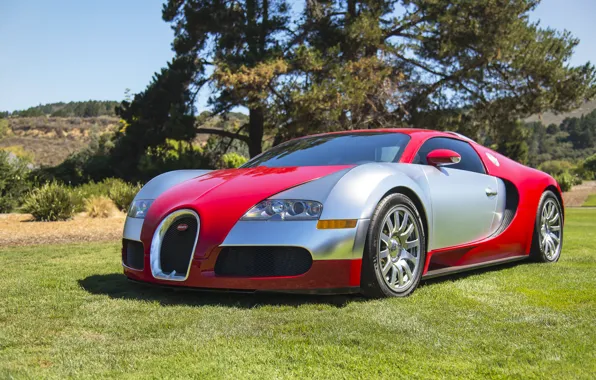 Картинка veyron, silver, red, bugatti, lawn