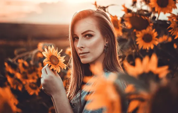 Взгляд, девушка, солнце, подсолнухи, закат, цветы, природа, поза