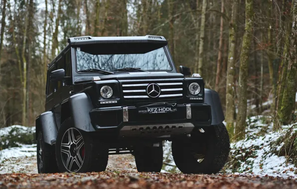 Картинка Mercedes - Benz, G500, W463, 4X4