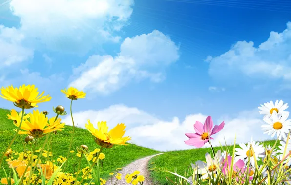 Картинка поле, небо, солнце, ромашки, весна, spring, цветы сохранить