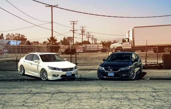 Картинка white, wheels, Honda, Accord, black, Galpin, wossen