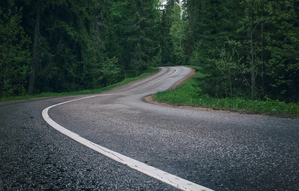 Картинка дорога, лес, деревья, пейзаж, природа, растения, forest, road