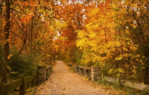 Картинка осень, листья, деревья, мост, парк, путь, скамейки, фонарные столбы