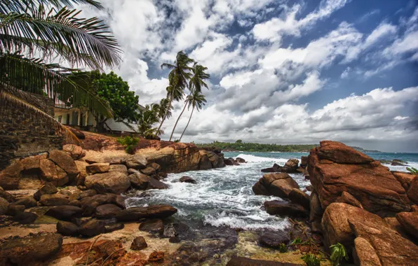 Пляж, камни, пальмы, Шри-Ланка