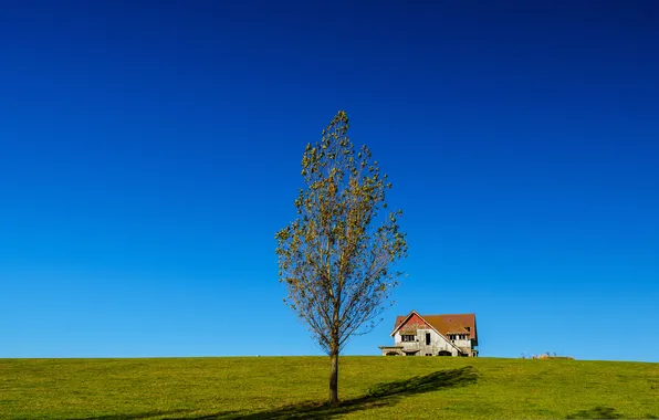Картинка небо, трава, дом, дерево, холм
