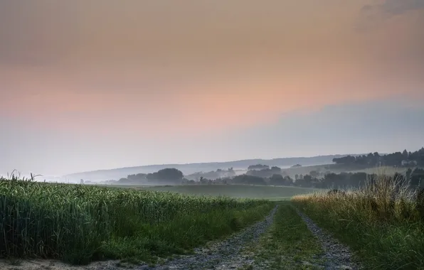 Дорога, поле, лето, небо, деревья, природа, туман, даль