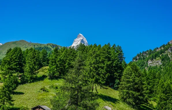 Картинка зелень, лето, небо, солнце, деревья, горы, голубое, Швейцария