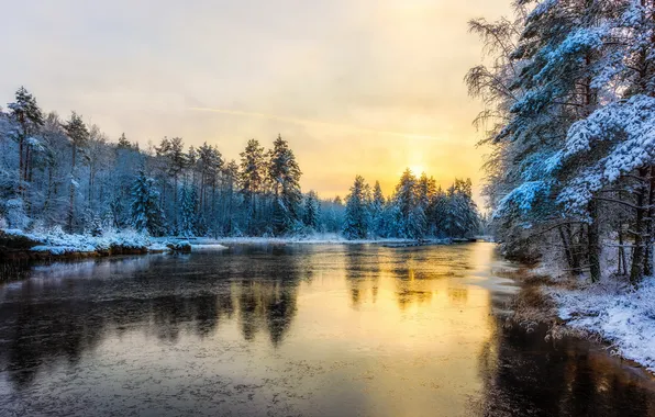 Картинка зима, река, утро