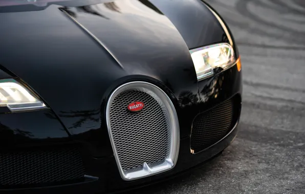 Bugatti, Veyron, logo, Bugatti Veyron, close-up, 16.4, grille, Sang Noir