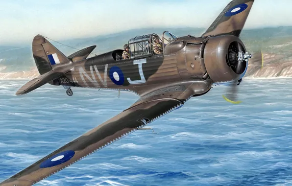 RAAF, самолёт общего назначения, CAC, Wirraway, Commonwealth Aircraft Corporation, Королевский австралийский военно-морской флот