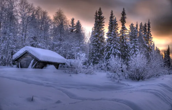Картинка зима, лес, снег, деревья, избушка, сугробы, Финляндия, Finland