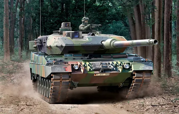 Германия, Лес, Leopard 2A6, основной боевой танк, Бундесвер, Leopard 2, NATO-OTAN