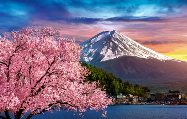 Река, весна, Япония, сакура, Japan, цветение, гора Фуджи, river