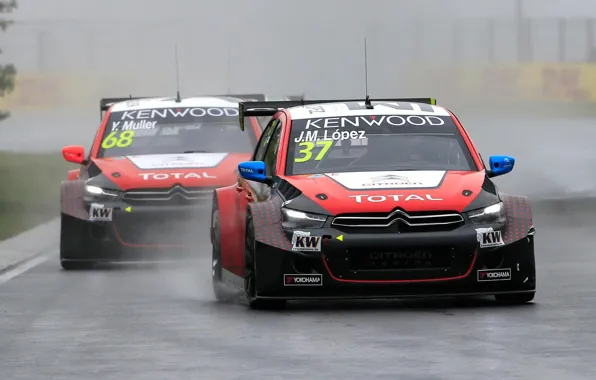 Картинка Ситроен, Citroen, WTCC, Lopez, Сыро, C-Elycee