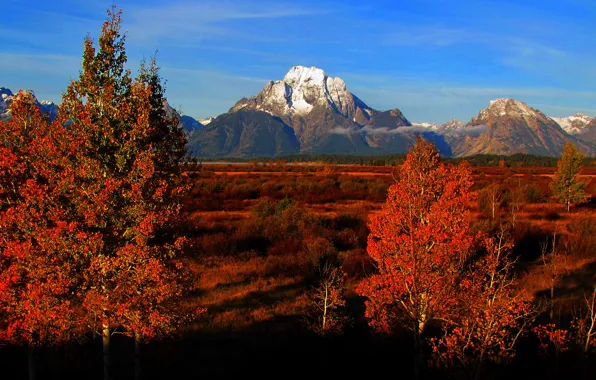 Осень, небо, деревья, горы, Вайоминг, США, grand teton national park