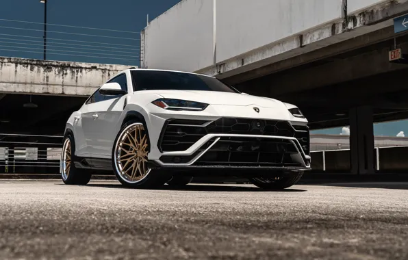 Картинка Lamborghini, White, SUV, Urus, Face, VAG