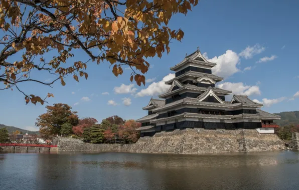 Листья, вода, ветки, Япония, Japan, Matsumoto, Мацумото, Замок Мацумото