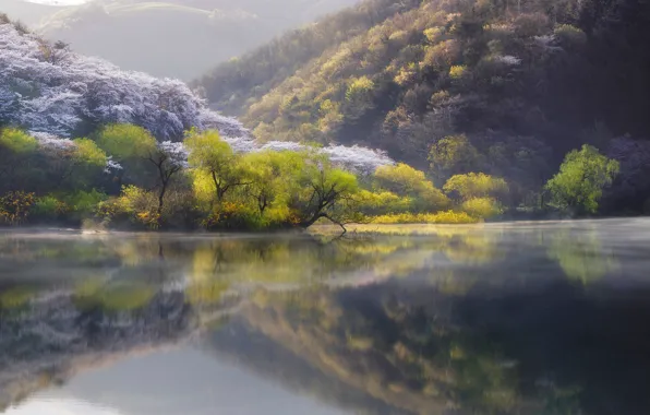 Картинка природа, озеро, река, весна, Япония