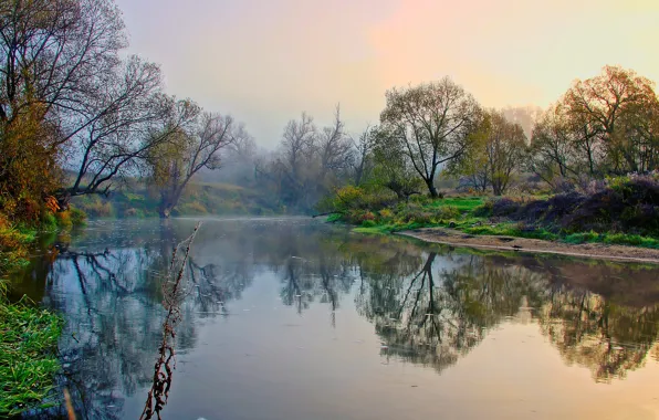 Картинка осень, деревья, туман, река, берега