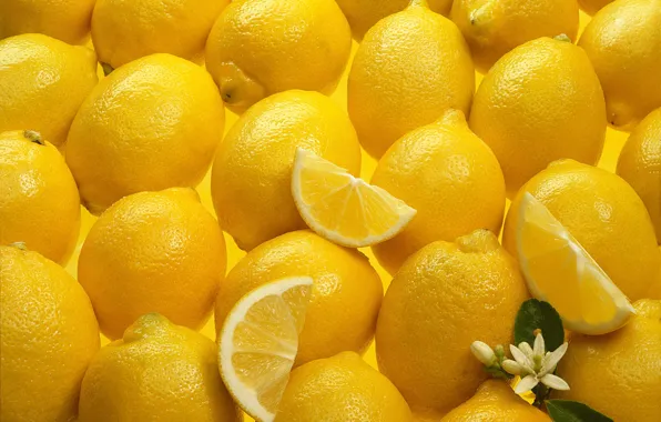 Цветок, лимон, текстура, Yellow, Texture, Lemons