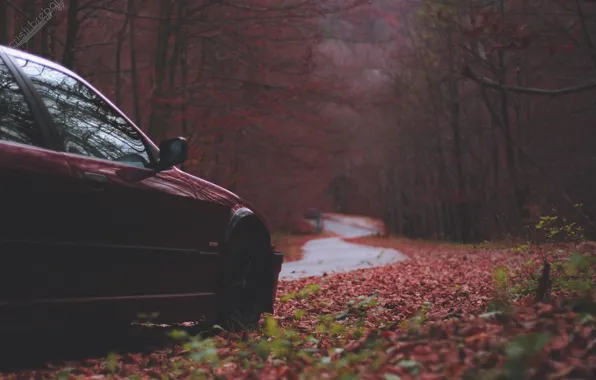 Осень, BMW, БМВ, Car, Autumn, E36