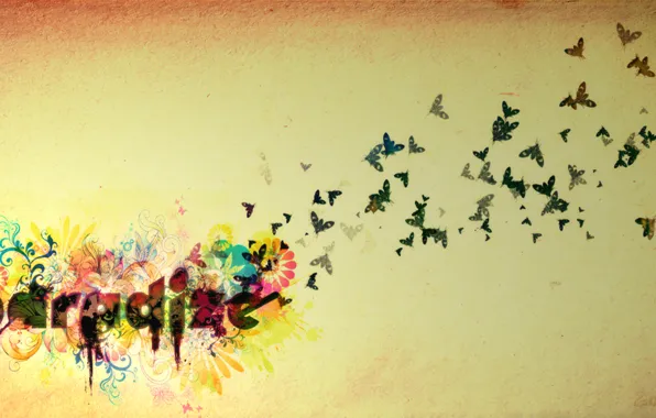 Картинка цветок, бабочка, рай
